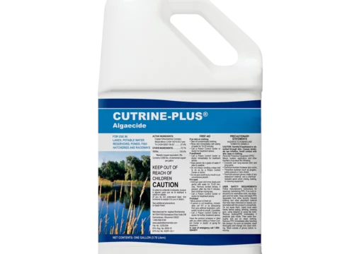 cutrine_plus_1g