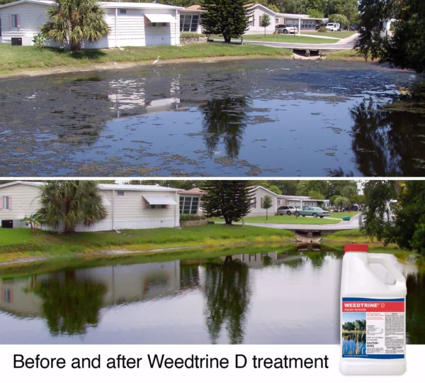 Weedtrine® D Aquatic Herbicide - Image 3